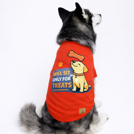 Collection image for: Pet T-shirts