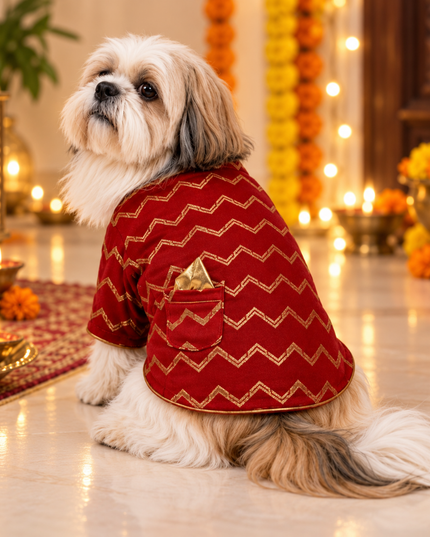 JASHN RED AND GOLD DOG SHERWANI
