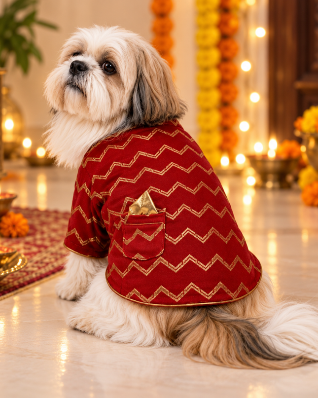 JASHN RED AND GOLD DOG SHERWANI