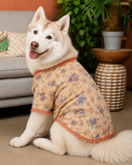 PAWTSAV DOG KURTA