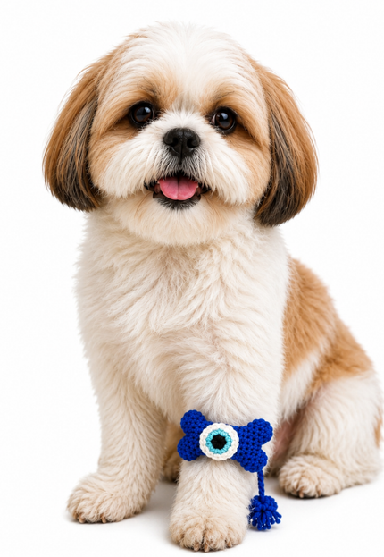 Evil Eye Bone Crochet Rakhi for Pets