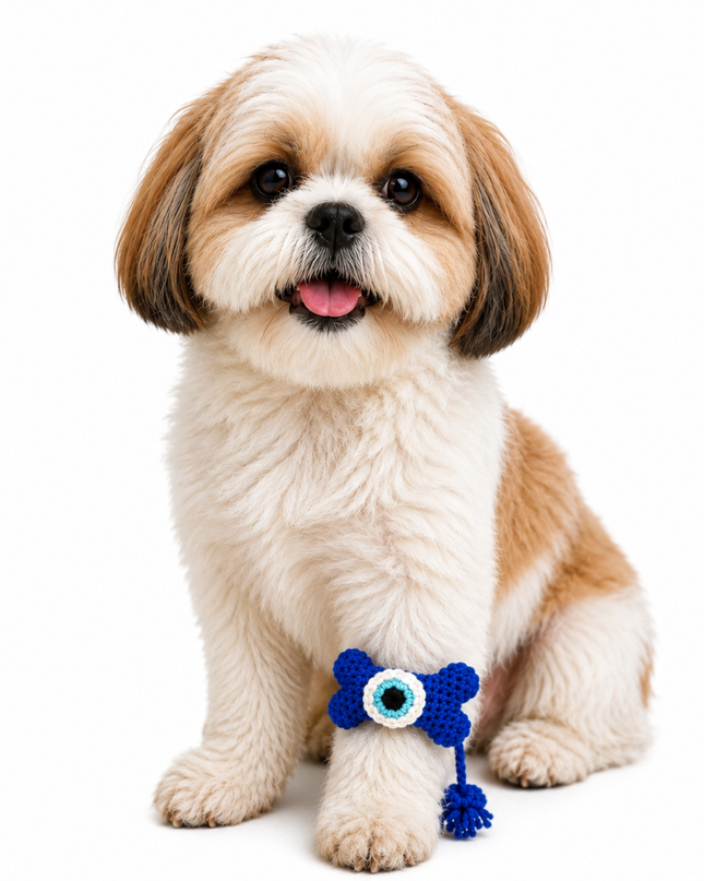Evil Eye Bone Crochet Rakhi for Pets