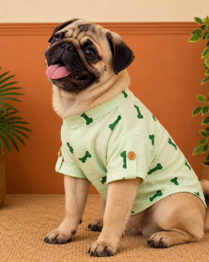 BONE EMBROIDERY DOG KURTA- MINT GREEN