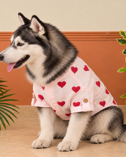 LINEN HEART EMBROIDERY DOG KURTA- BABY PINK
