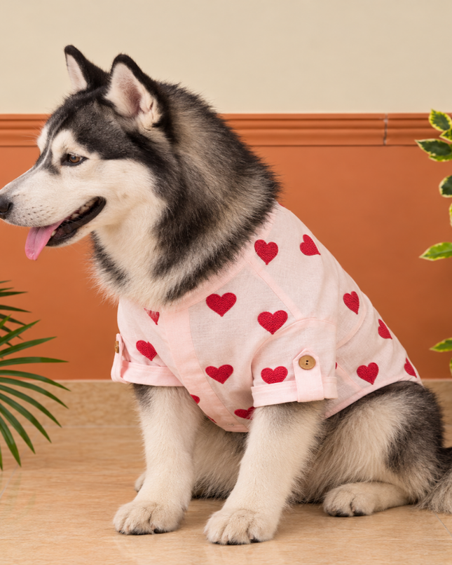 LINEN HEART EMBROIDERY DOG KURTA- BABY PINK
