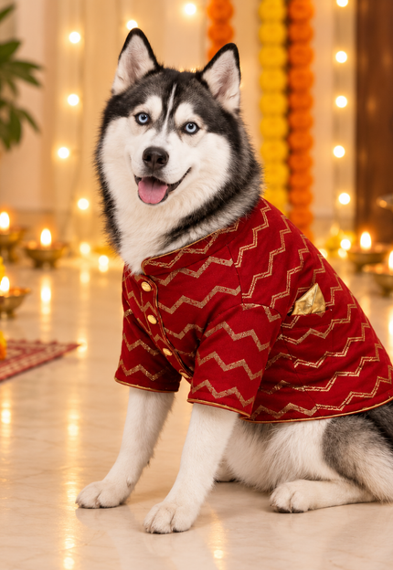 Collection image for: Dog Sherwanis