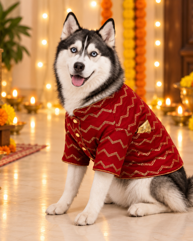 JASHN RED AND GOLD DOG SHERWANI