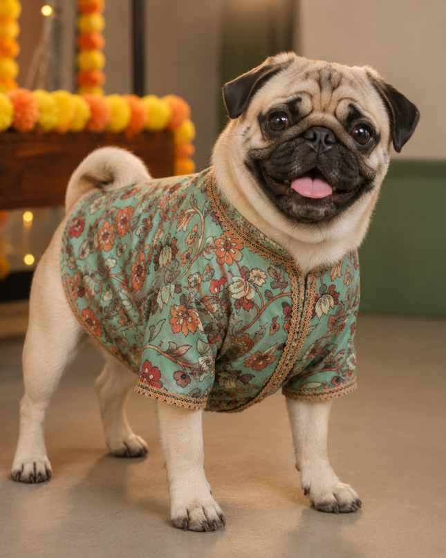 RANGREZ DOG KURTA