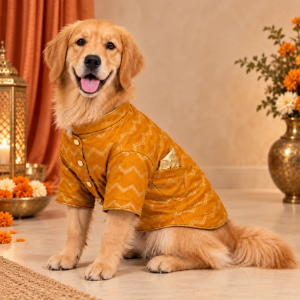 Collection image for: Dog Zari Sherwani