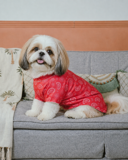 HEERA MOTI DOG KURTA