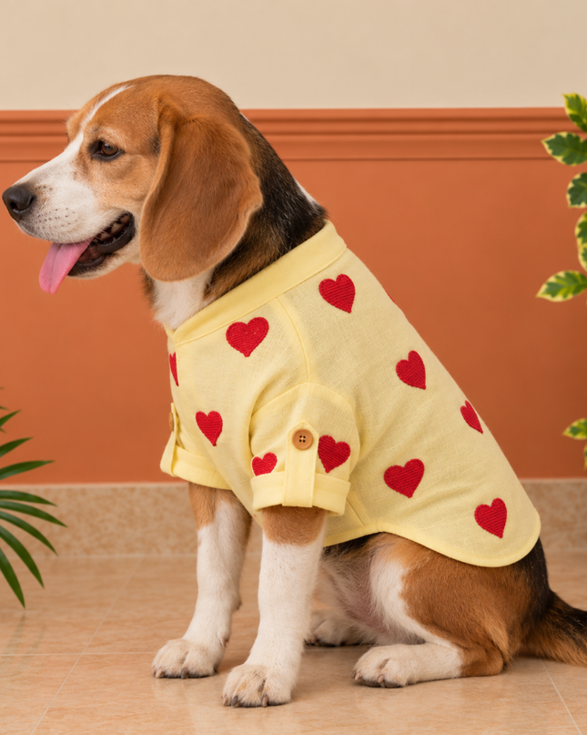 HEART EMBROIDERY DOG KURTA- LEMON YELLOW