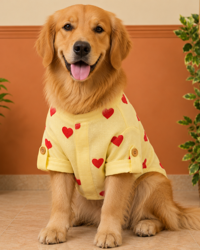 HEART EMBROIDERY DOG KURTA- LEMON YELLOW