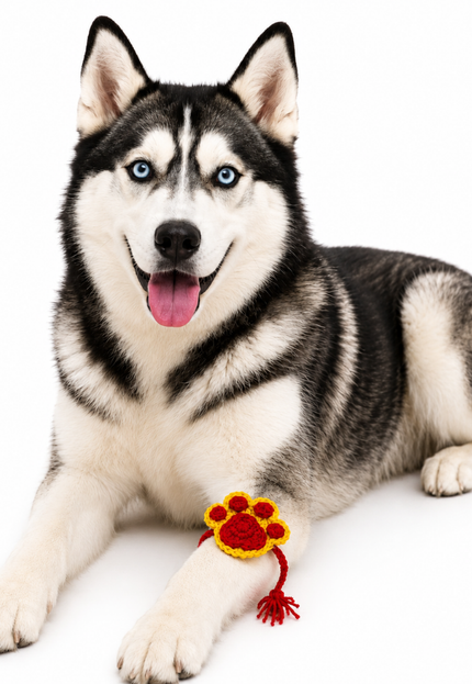 Red & Yellow Paw Crochet Rakhi for Pets