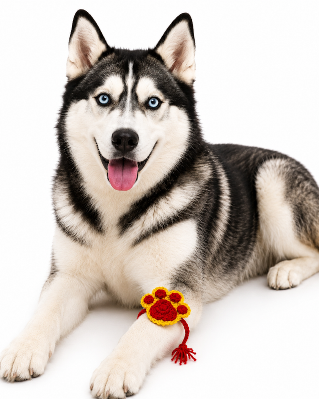 Red & Yellow Paw Crochet Rakhi for Pets