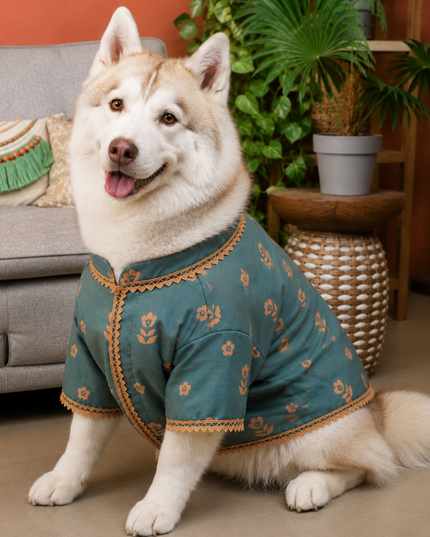 KHWAISH DOG KURTA