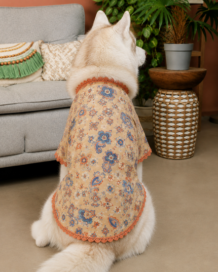 PAWTSAV DOG KURTA
