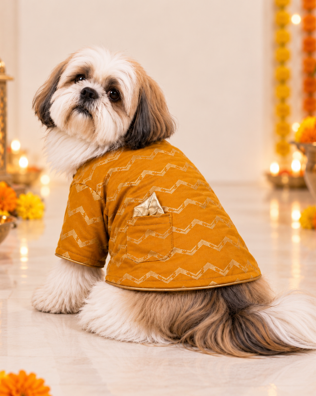 JASHN MUSTARD YELLOW AND GOLD DOG SHERWANI