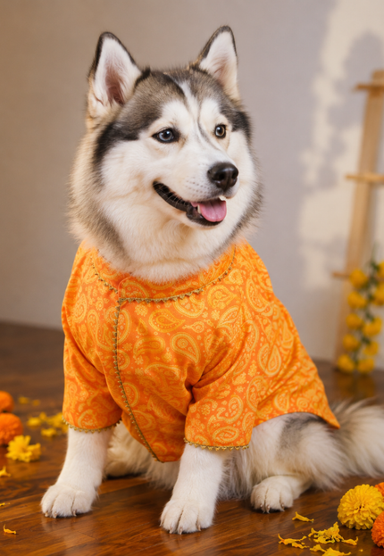 KESARIYA DOG KURTA