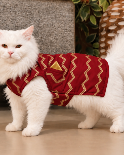 Jashn Crimson Red Cat Sherwani