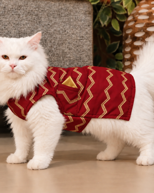 Jashn Crimson Red Cat Sherwani