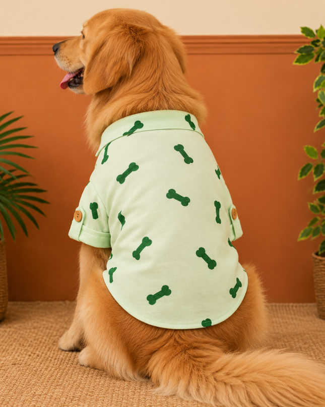 BONE EMBROIDERY DOG KURTA- MINT GREEN
