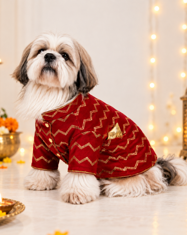 JASHN RED AND GOLD DOG SHERWANI